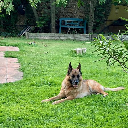 Вилла Santa Caterina - Dog Friendly With Garden Sobrestany Экстерьер фото